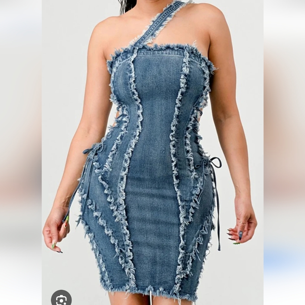 Athina Denim Distresses Dress